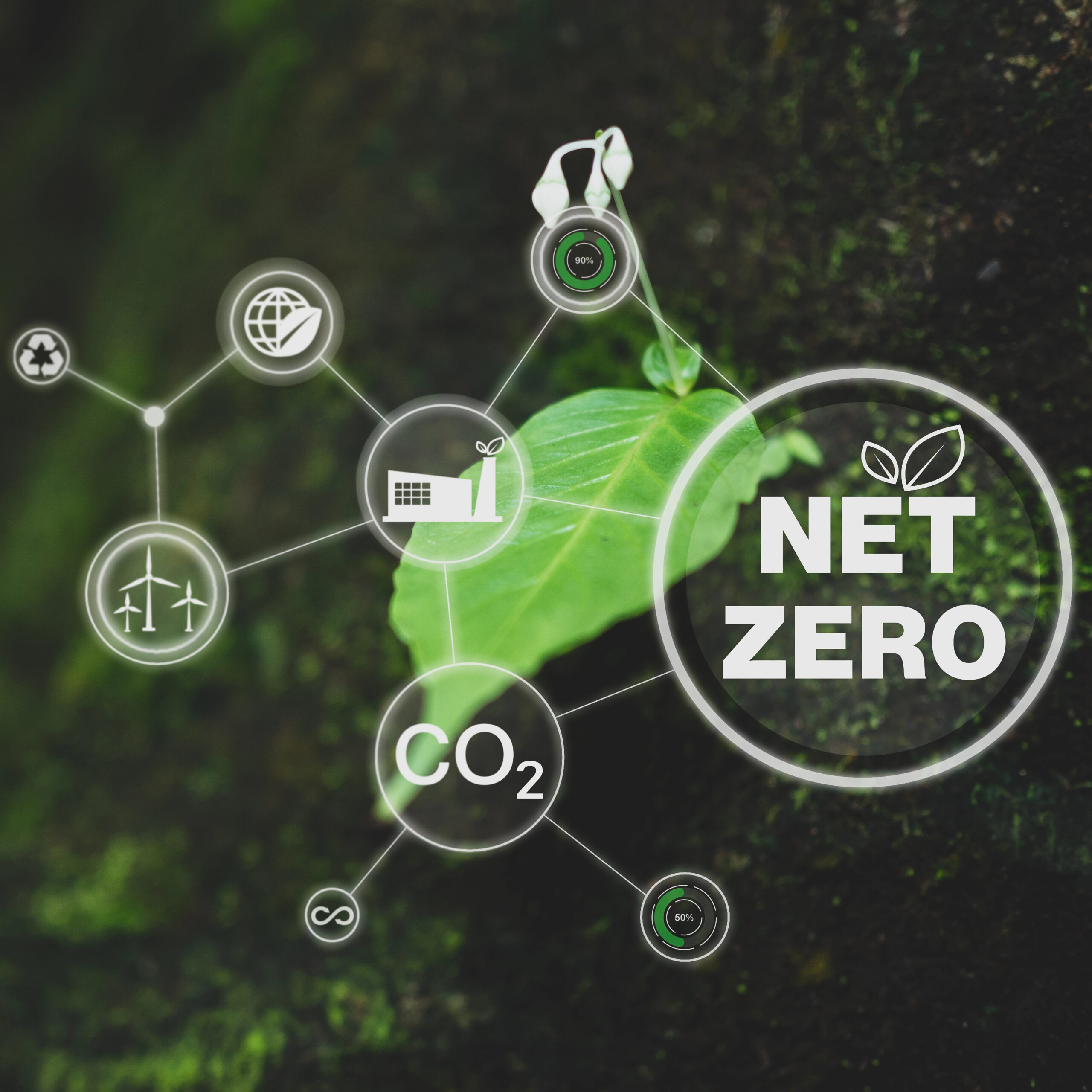 Embodied carbon - net zero