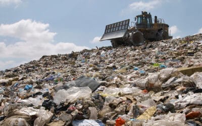 Why Waste Duty of Care Checks Matter for Your Organisation
